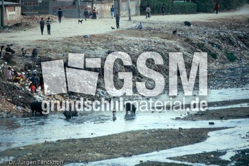 Nepal (51 von 124).jpg